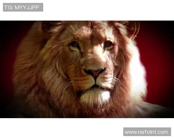 小众足球明星精彩瞬间集锦视频素材分享与解析